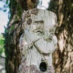 face in tree